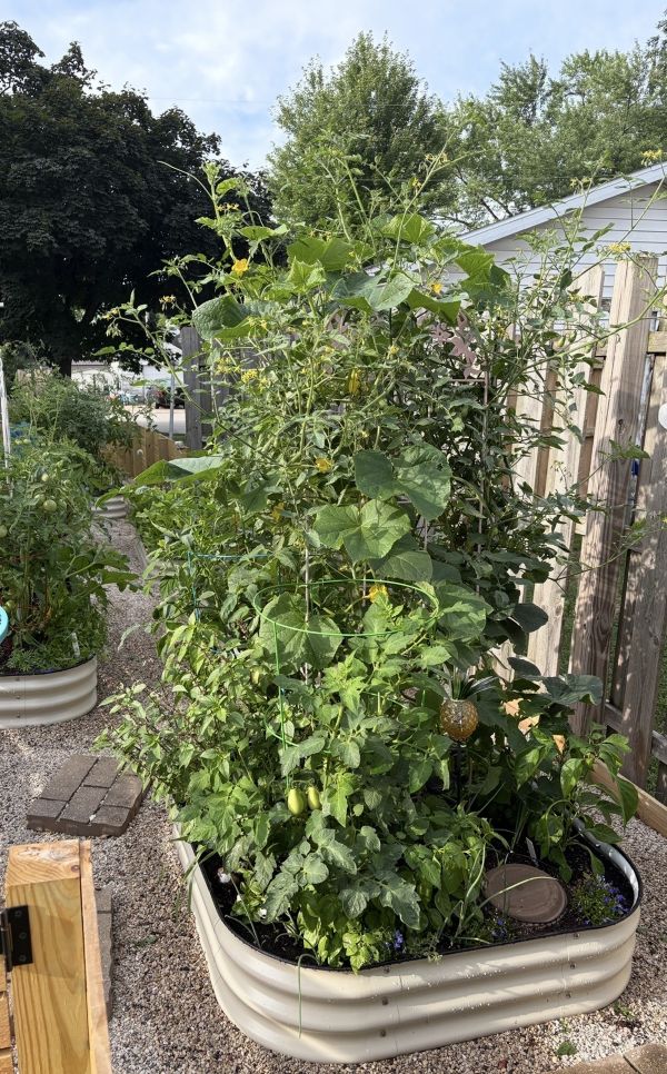 gardening plants
